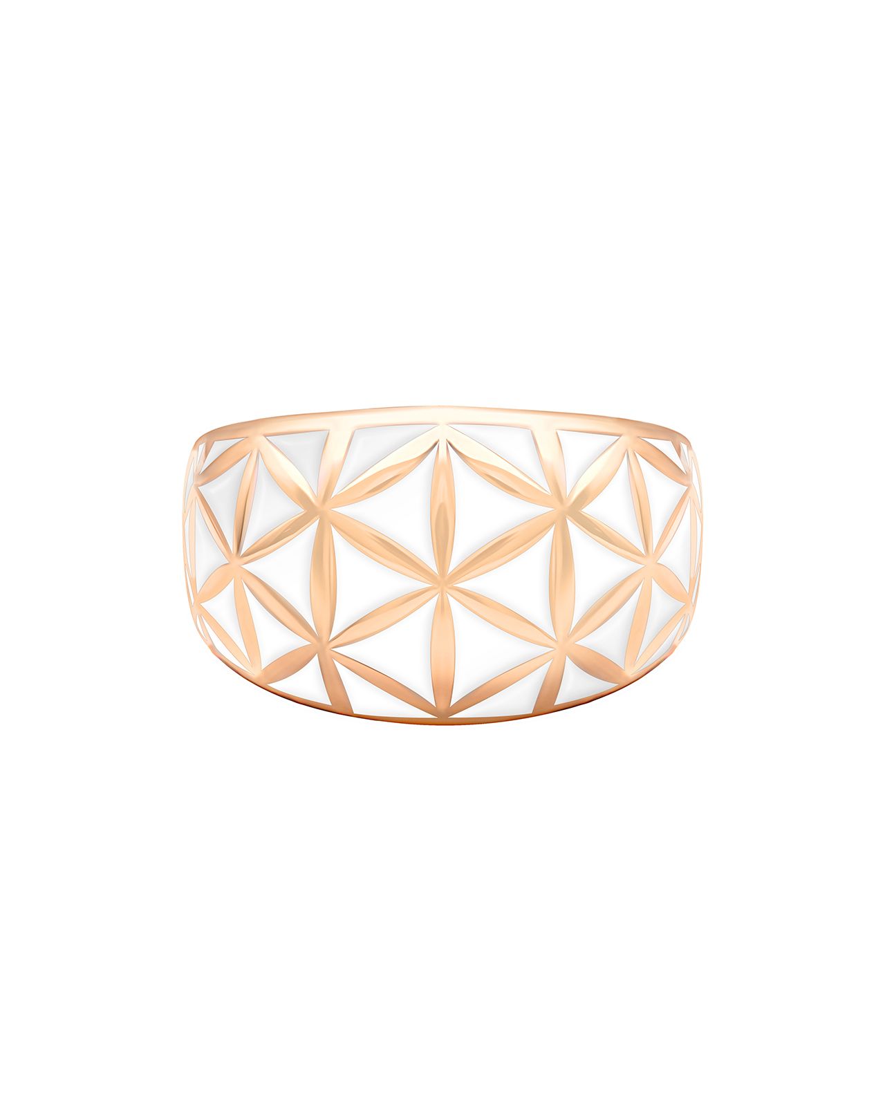 Packshot Fiorina Rosa